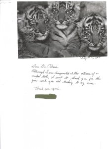thank you letter